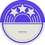 쇼크스타 디스코