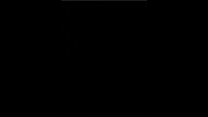 Trưng Bày W-Engine