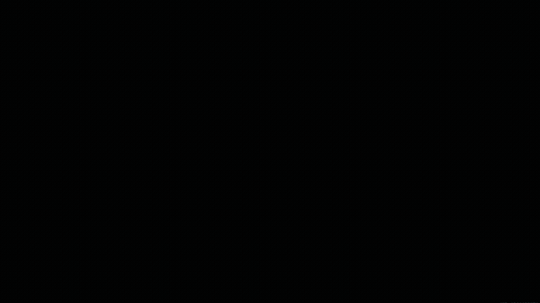 Animación de entrada